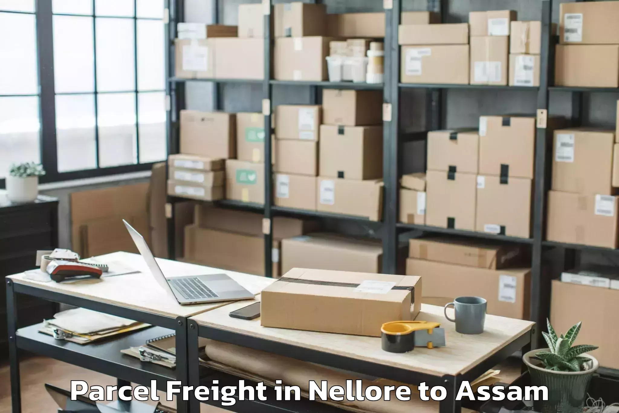 Easy Nellore to Balijan Parcel Freight Booking